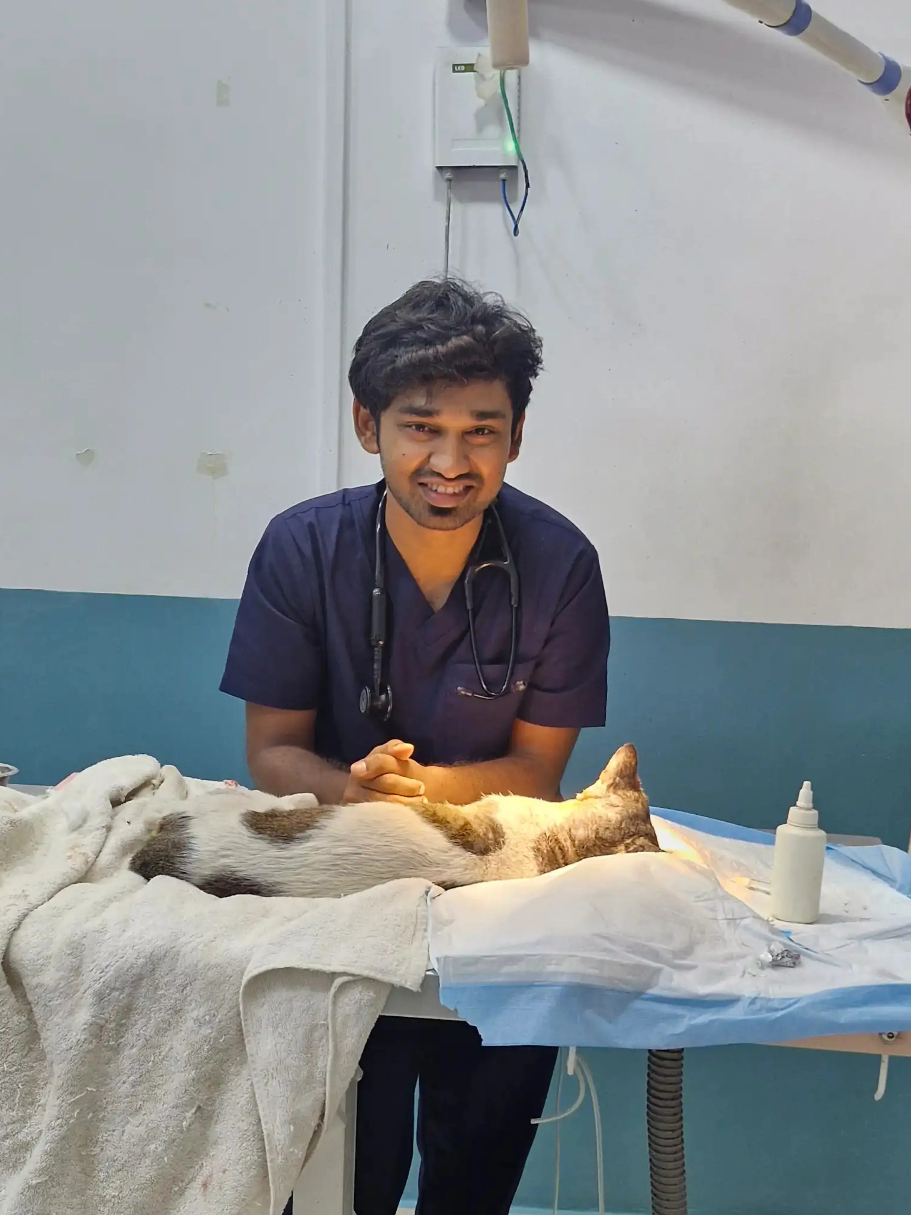 Dr. Sugan holding a calm small primate patient in clinic